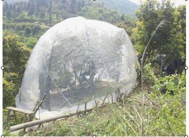 Net Insect Net Fruit Tree Pest Control Plant Protection Cover