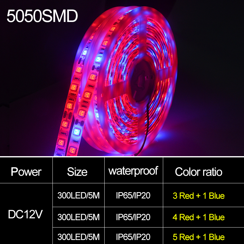 5050 LED Plant Growth Light Strip - 5M Soft Lighting