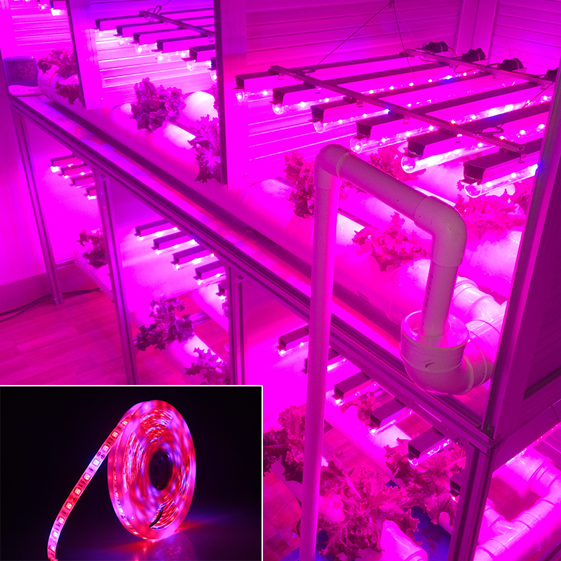 5050 LED Plant Growth Light Strip - 5M Soft Lighting