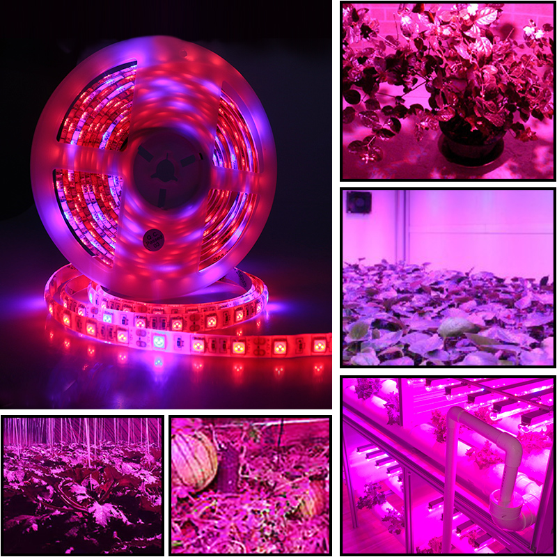 5050 LED Plant Growth Light Strip - 5M Soft Lighting