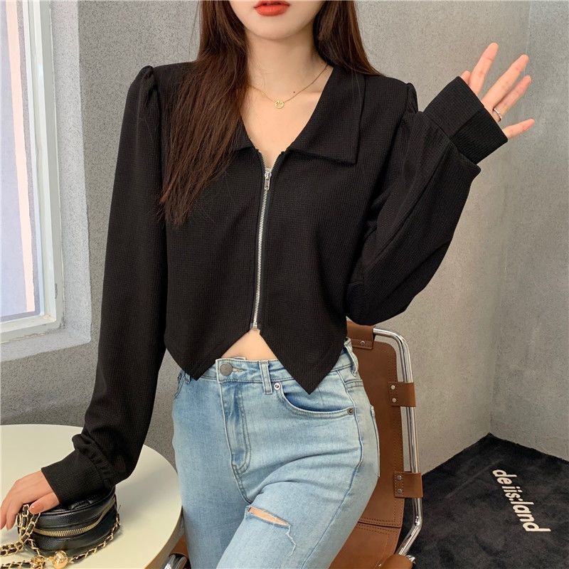 Plus Size Lapels Short Long Sleeve Shirt