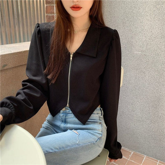 Plus Size Lapels Short Long Sleeve Shirt